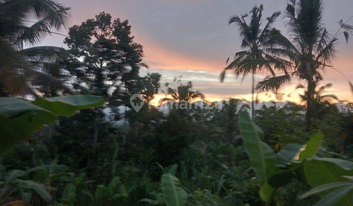 Land for lease ubud Payangan, 20 minutes from central ubud with view jungle, river and ricefield 1