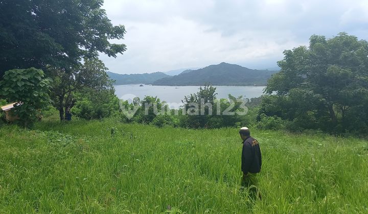 Tanah Dengan Super View Super Harga Disekotong.langsung Jalan Utama Tanah Dengan Super View Super Harga Disekotong.langsung Jalan Utama