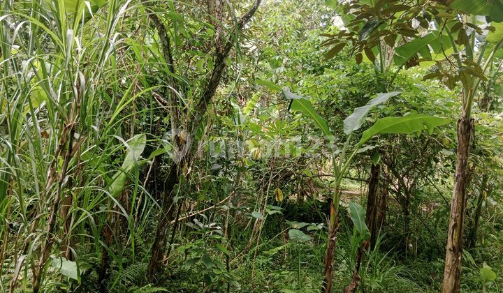 Land Ready to Develop and Seeking Collaboration for Sale, such as Plot Land or Villa.