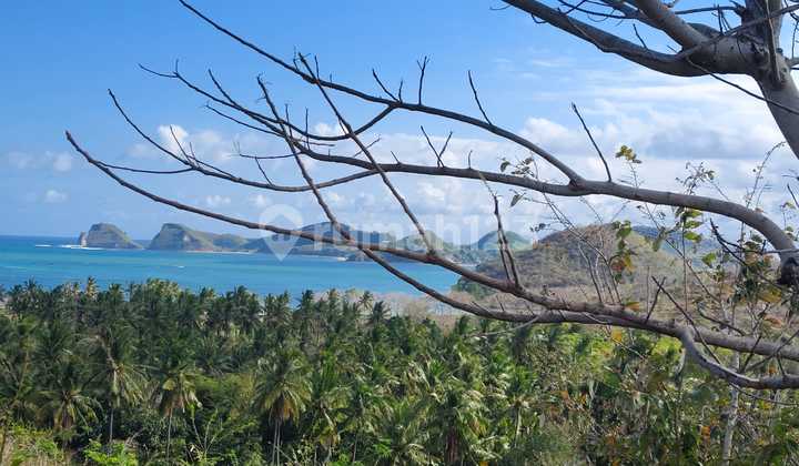 Pembayaran Termin Bisa .full Ocean View Land Near Mandalika ,access Ready,electricity Ready Pembayaran Termin Bisa .full Ocean View Land Near Mandalika ,access Ready,electricity Ready