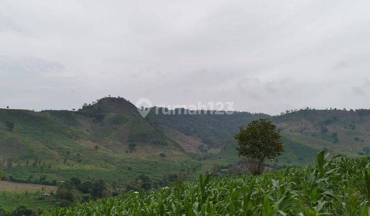 Tanah Luas Di Sekotong Barat Dengan View Laut Dan Kebun Hanya Tiga Juta P Are Untuk. Investasi 2