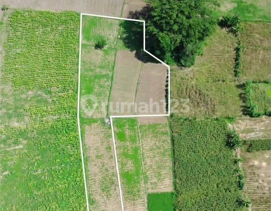 Tanah Flat di Selong Belanak Bagus untuk Investasi Tanah Flat di Selong Belanak Bagus untuk Investasi