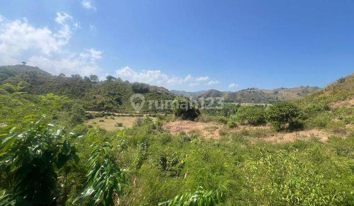 Tanah DiMawun Dengan View Bukit, Akses Tidak Jauh Dari Area Wisata Dan Pantai, Harga Sangat Menarik  1