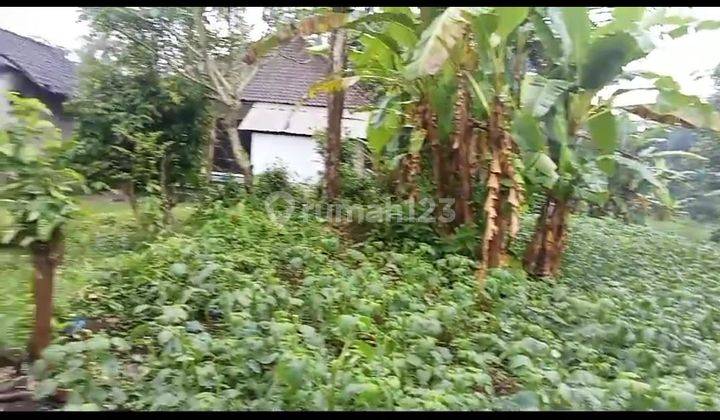 Tanah Kebun Di Luwus Zona Kuning Cocok Utk Tanah Kaveling Di Belakang Joger Luwus Harga Sangat Menarik 2