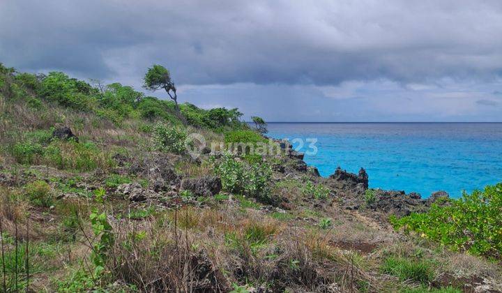 Tanah Tebing Pantai Bukambero Sumba Barat Daya Sudah Shm Di Lepas Cepat 1