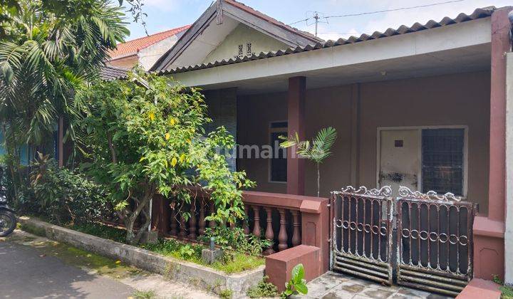 Dijual Cepat Rumah Di Elang 1