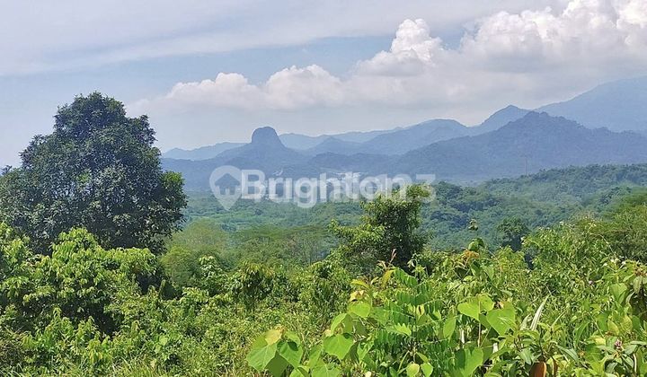 Tanah 1,2 Ha Murah Mekarwangi Cariu Bogor Timur