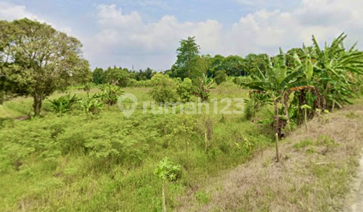 Tanah Strategis 24.400 M2 Dekat Bandara Kualanamu Deli Serdang Sumatra Utara 1