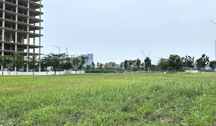 Brooklyn Plot Pik2 Cheap Rent 450 M2