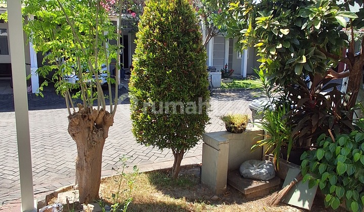 Rumah Siap Huni 2 Kamar Furnished - Its Hangtuah Pakuwon City 2