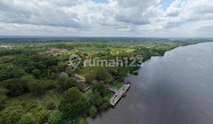 Cheap Land for Sale in Siak Riau, Only 500 Thousand for 60 Hectares, Very Affordable.