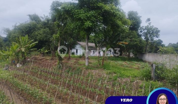 DIJUAL CEPAT CUMA 2 JUTA PERMETER TANAH LOKASI LEGOK DEKAT BINONG KARAWACI