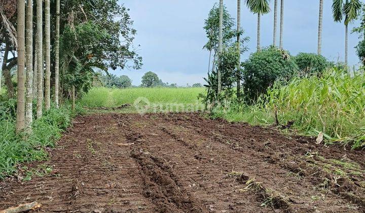 TANAH KAVLING SUNGGAL MURAH DEKET KOTA 1