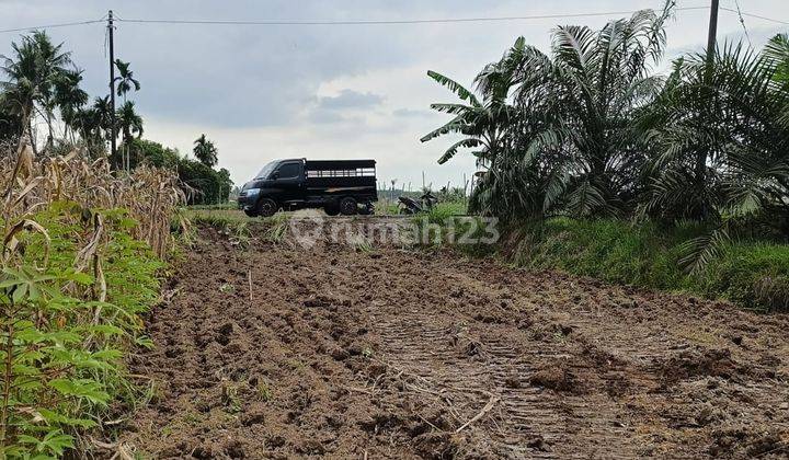 TANAH KAVLING SUNGGAL MURAH DEKET KOTA 10