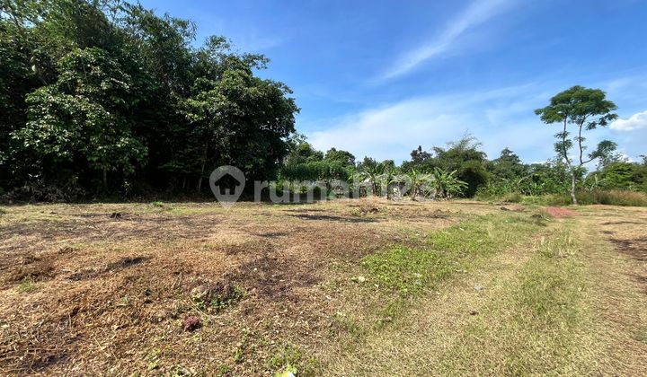 Tanah Murah Cisauk Cocok Untuk Hunian, Dekat Tol Legok