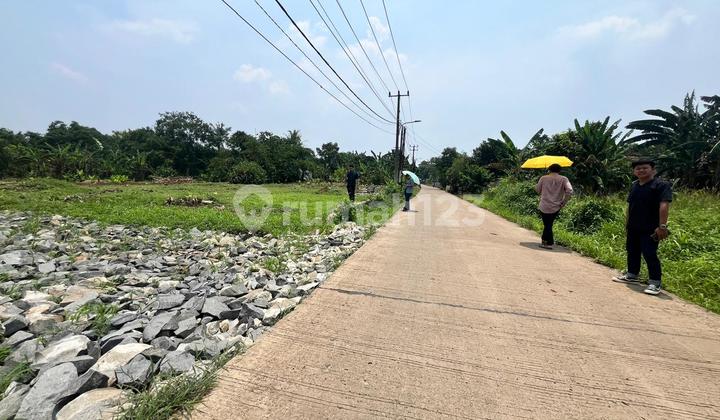 Kavling Murah Cisauk Cocok Untuk Hunian, Dekat Ke BSD Kavling Murah Cisauk Cocok Untuk Hunian, Dekat Ke BSD