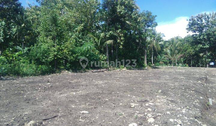 Tanah Kavling 12 Menit Mie Gacoan Puspitek Lokasi Strategis 9