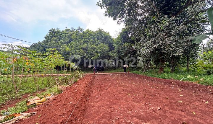 Tanah 3 Km dari Tol Burangkeng Bekasi Tanah 3 Km dari Tol Burangkeng Bekasi