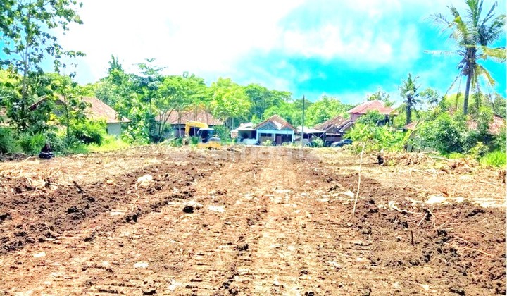 Jual Tanah Murah Dekat Tol Legok, Harga Mulai 1Jt-an Jual Tanah Murah Dekat Tol Legok, Harga Mulai 1Jt-an