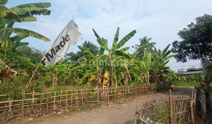 Tanah Dekat Hutan Jati Raya Sindang Asih, Pas Buat Hunian 1