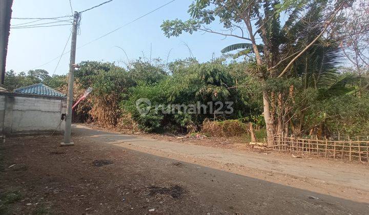 Tanah Dekat Hutan Jati Raya Sindang Asih, Pas Buat Hunian 2