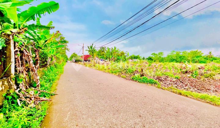 Jual Tanah 11 Menit Stasiun Jatake Baru, Cocok untuk Tempat Tinggal Jual Tanah 11 Menit Stasiun Jatake Baru, Cocok untuk Tempat Tinggal