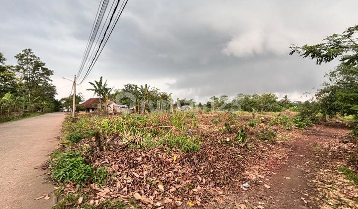 Cheap Plot in Cisauk Near Eastvara Mall