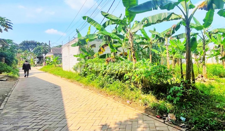 Kavling Murah 10 Menit ke Tol BSD City Kavling Murah 10 Menit ke Tol BSD City