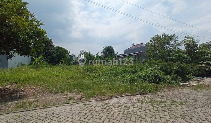 Tanah Murah Dekat Graha Raya, Harga 4Jt an, Pas Buat Rumah 2