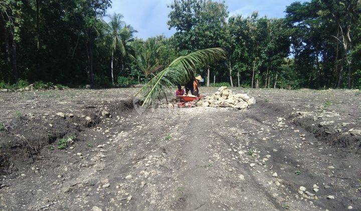 Tanah Dijual, 6 Menit Ke Stasiun Daru, Free SHM 1