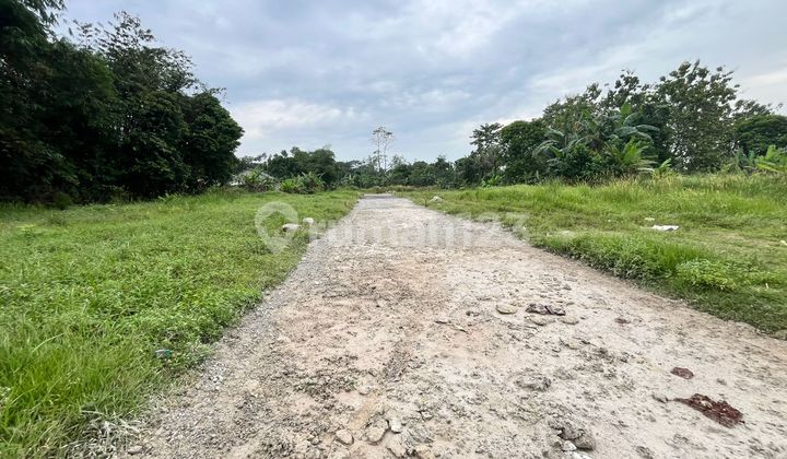 Dijual Tanah Murah Dekat Bsd Tepi Jalan, Akses Tol Legok Dijual Tanah Murah Dekat Bsd Tepi Jalan, Akses Tol Legok
