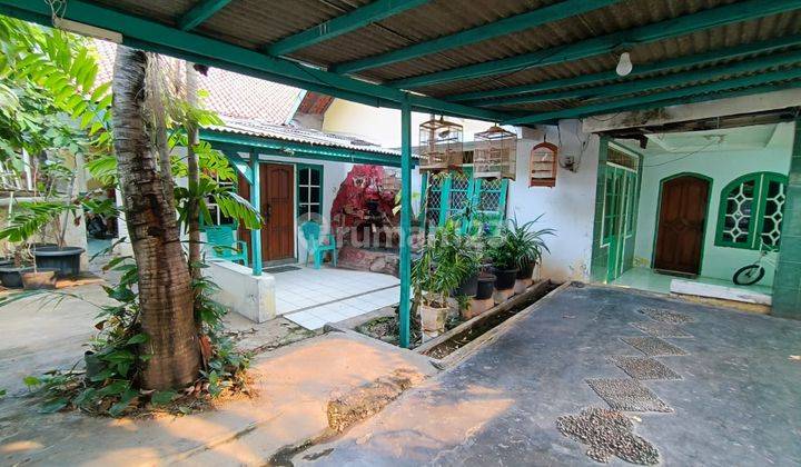 Rumah Tua Hook Jelambar SHM Jakarta Barat 2