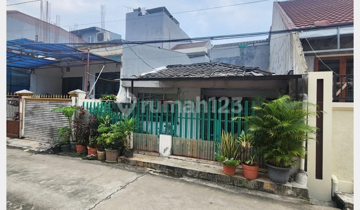 Dijual Rumah Hitung Tanah di Pluit Jakarta Utara Dijual Rumah Hitung Tanah di Pluit Jakarta Utara