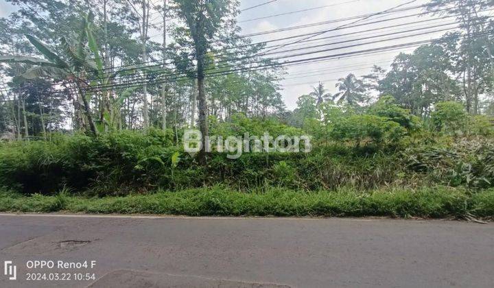 CEPAT TANAH SIAP BANGUN LT 6.000 M2 DI JL RAYA TLOGOWARU, TLOGOWARU, KEC KEDUNGKANDANG, KOTA MALANG