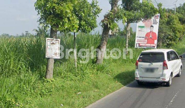 Tanah di Jalan Rata Tumpuk Wlingi Blitar 2