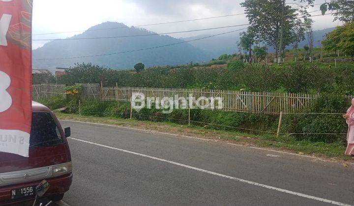 TANAH KEBUN APEL VIEW BAGUS LT 1 HEKTAR M2 DI BATU JUNGGO, JL RAYA SUMBER BRANTAS, TULUNGREJO, KEC BUMIAJI, KOTA BATU 2