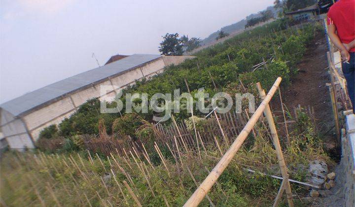 Tanah Luas di Jalan Raya Dieng Atas 2
