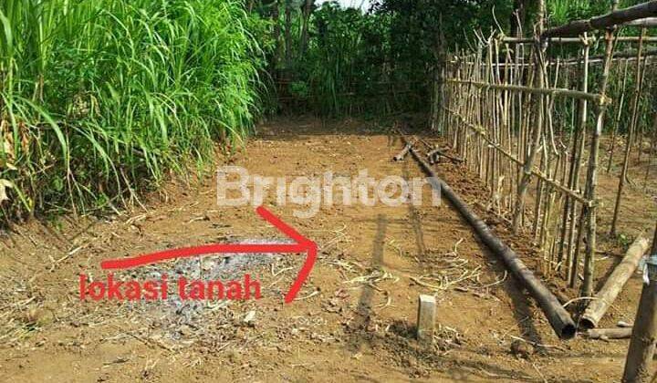 TANAH HARGA DIBAWAH PASAR BUTUH CEPAT DI JL BARAN TEGARON BARAT, LESANPURO, KEDUNGKANDANG, KOTA MALANG  2