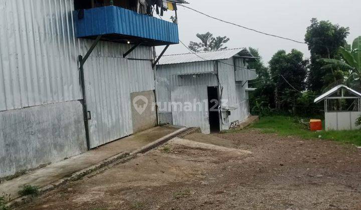 Dijual Cepat Tanah + Usaha Peternakan Ayam Yang Sudah Berjalan Daerah Cipanas,cirumput 2