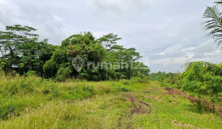 Dijual Tanah Dipinggir Jalan Raya Cikande Rangkas Bitung.