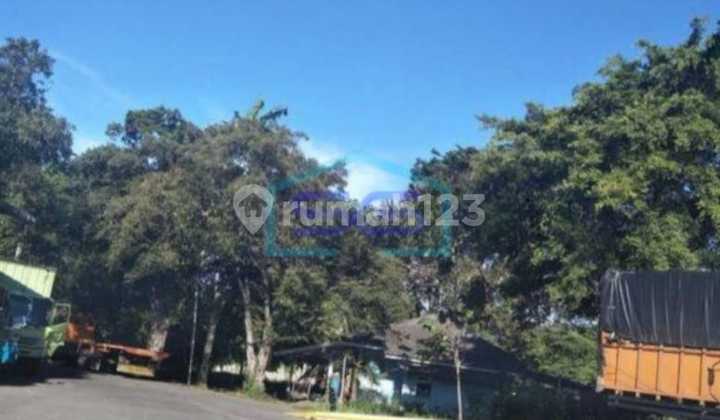 FOR SALE/ Take over CORRUGATED CARTON BOX FACTORY directly from Owner FOR SALE/ Take over CORRUGATED CARTON BOX FACTORY directly from Owner