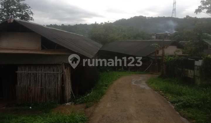 Jarang Ada, Jual Tanah 11 Ha SHM Bonus Peternakan Ayam Telor Produktif