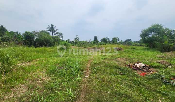 Jual Tanah PLP Curug Tangerang