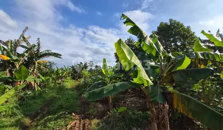 Certificate of Land Title