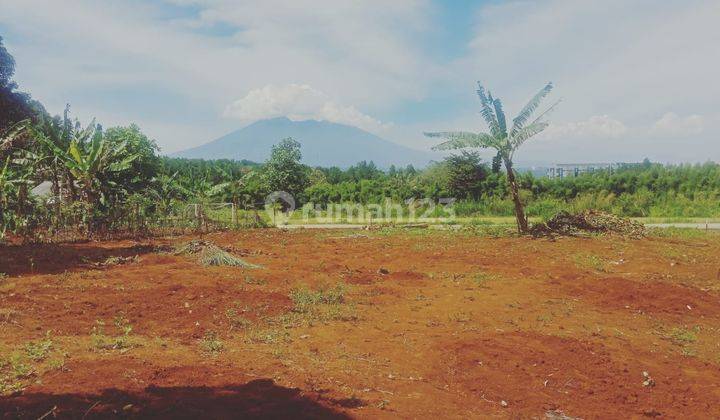 Tanah Bogor Wilayah Wisata Jungle Land Profit Untung 1