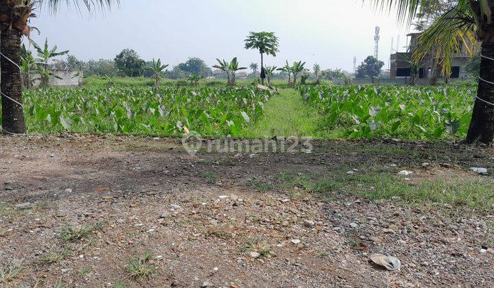 Lahan Datar Dekat Terminal Bubulak, Bisa Dicicil 12X  2