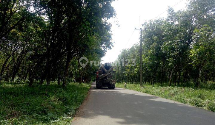 Tanah Termurah di Rumpin Bogor, SHM 2