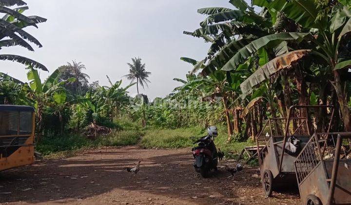 Tanah SHM Strategis Dekat Terminal Bubulak Bogor 1