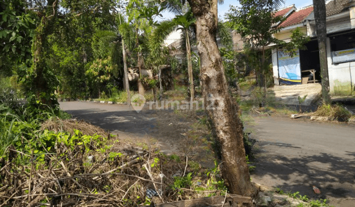 Tanah Murah SHM Dekat Universitas Nusa Bangsa Bogor 2