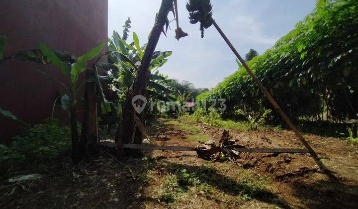 Tanah Murah SHM Dekat Universitas Nusa Bangsa Bogor 5
